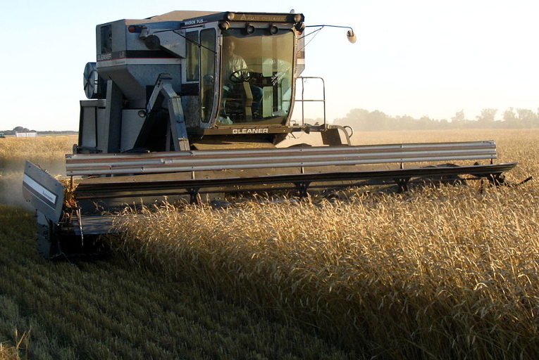 Gleaner