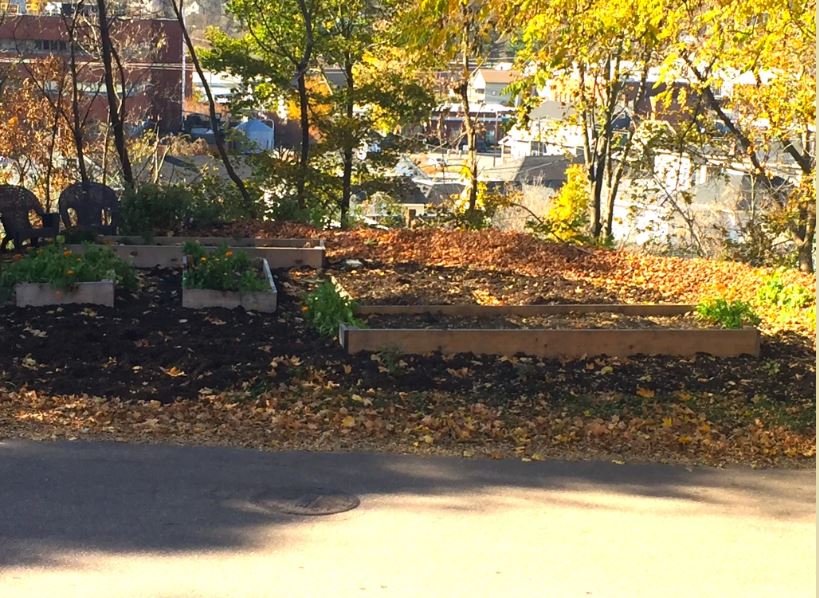garden
