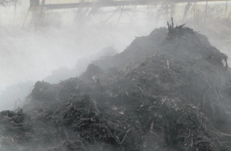 compost