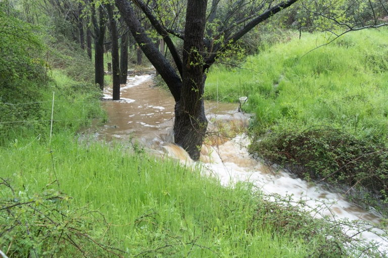Leaky weirs