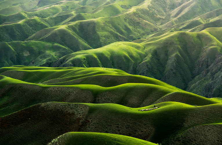 hills