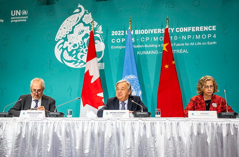 COP 15 Biodiversity Conference