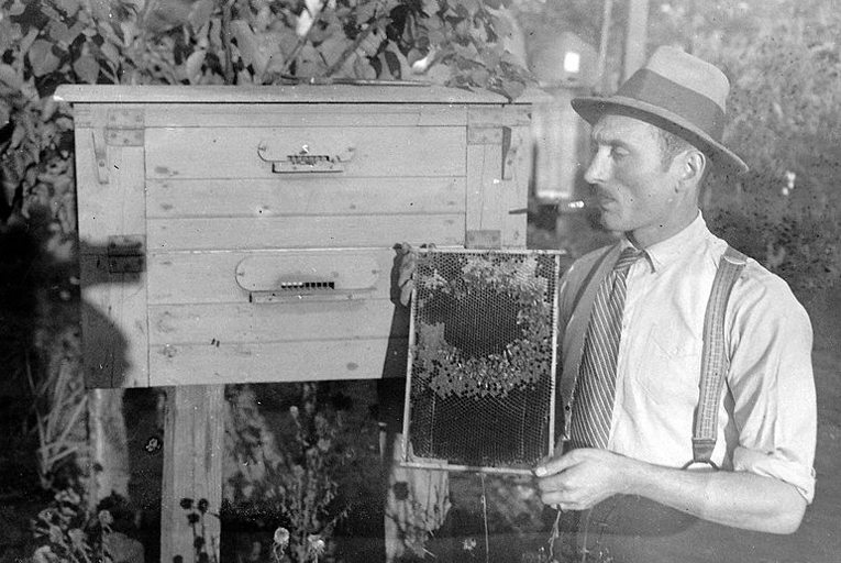 beekeeping
