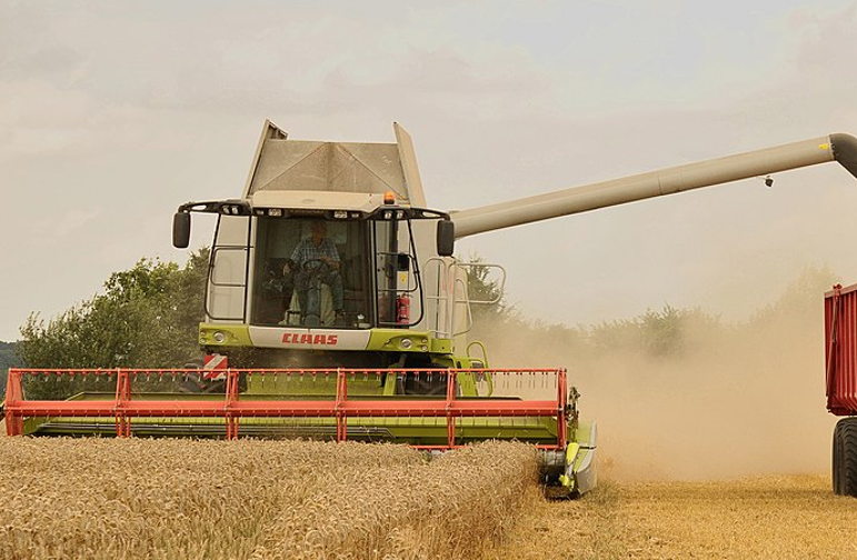 unloading wheat