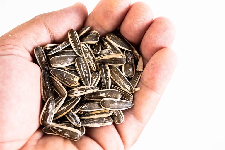 seeds