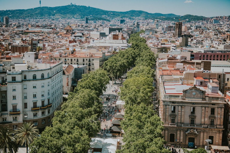 urban trees
