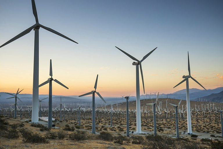 wind farm