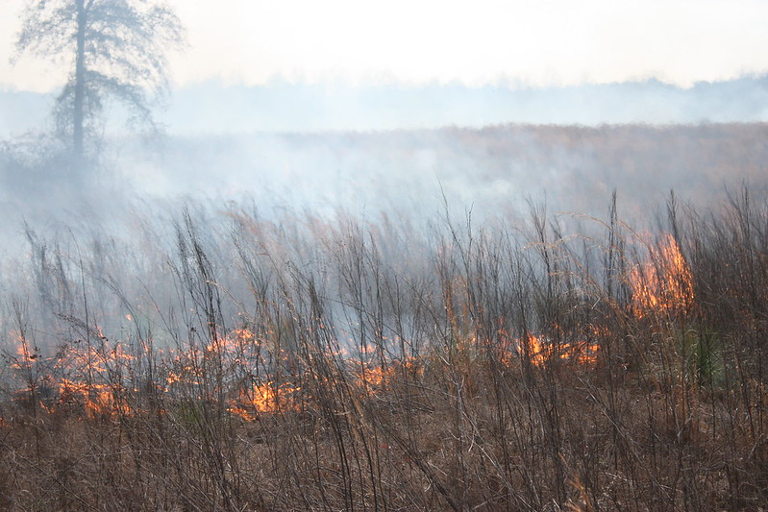 drought, fire