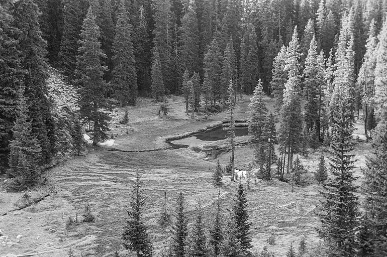 watershed