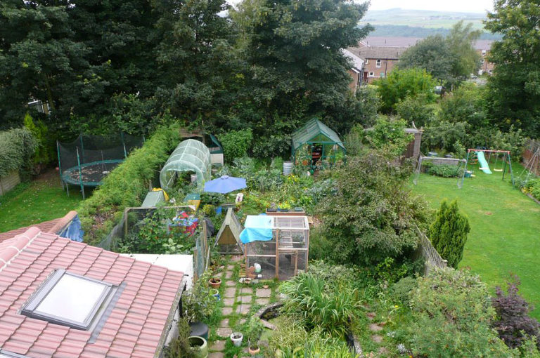 permaculture garden