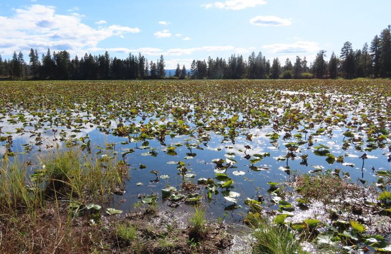 Twin Lake