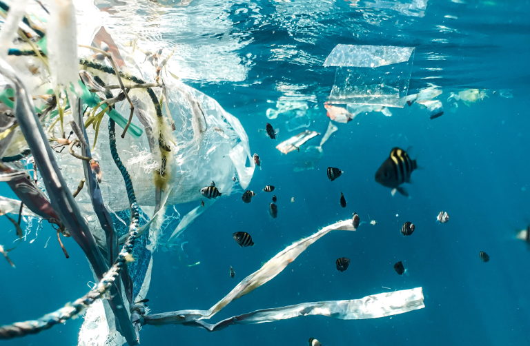 platic bags in the ocean