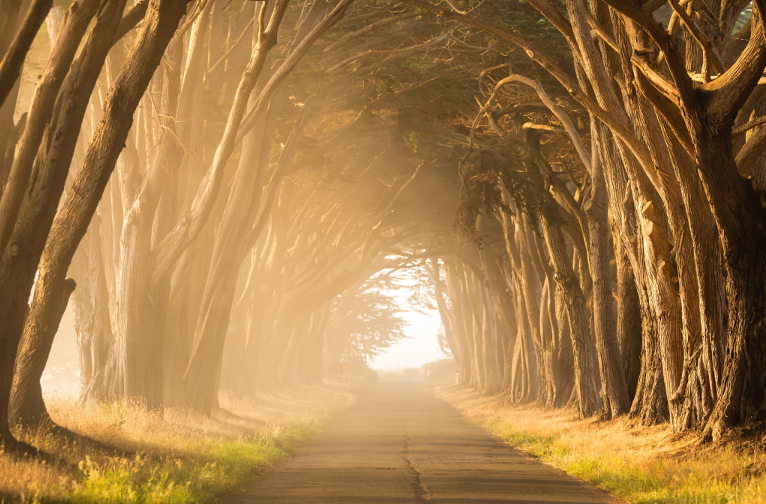 path