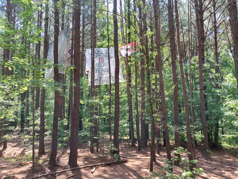 Trees with banners