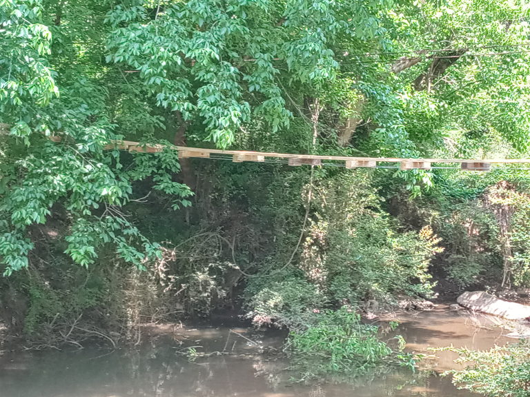 forest bridge