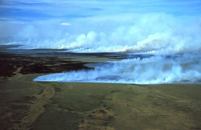 Fires in the Arctic