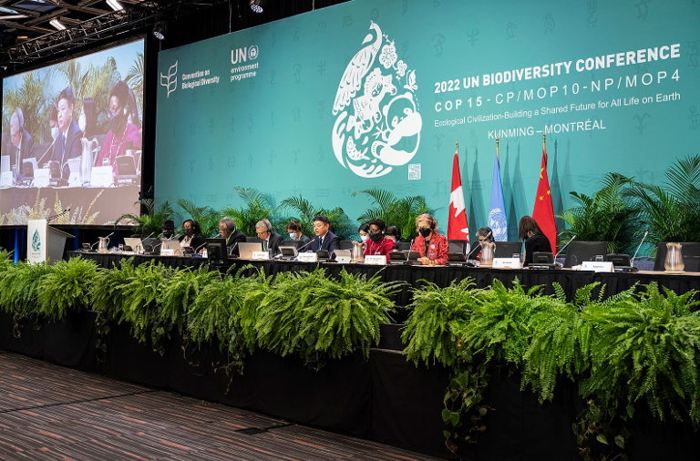 COP15 in Montreal