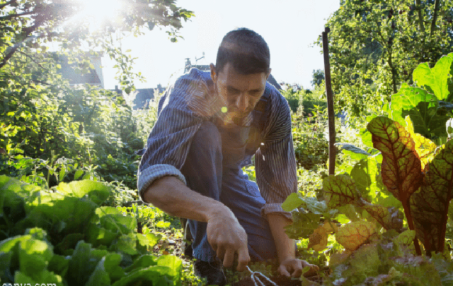 Small-scale farmer