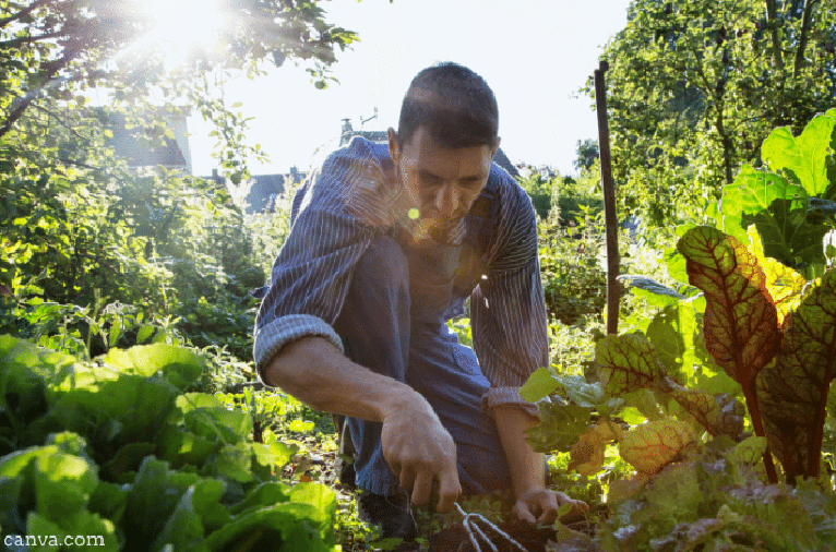 Small-scale farmer