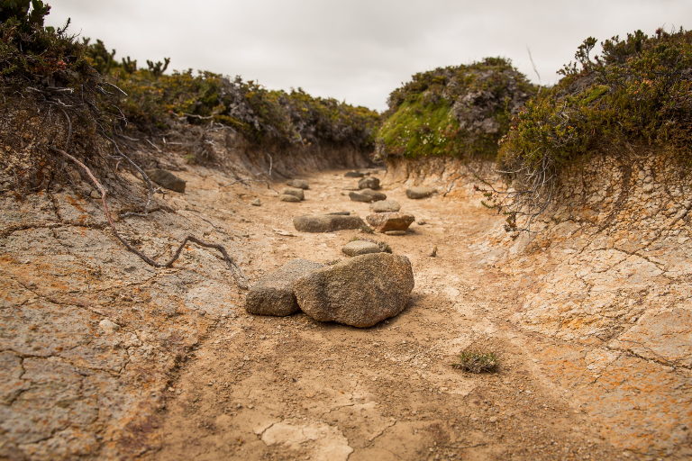 dry creek