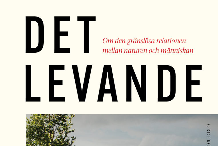 bookcover