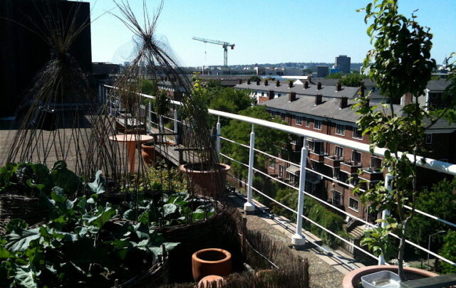 allotment