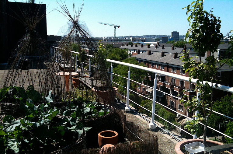 allotment