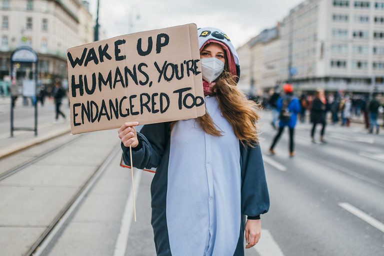 climate demonstrater