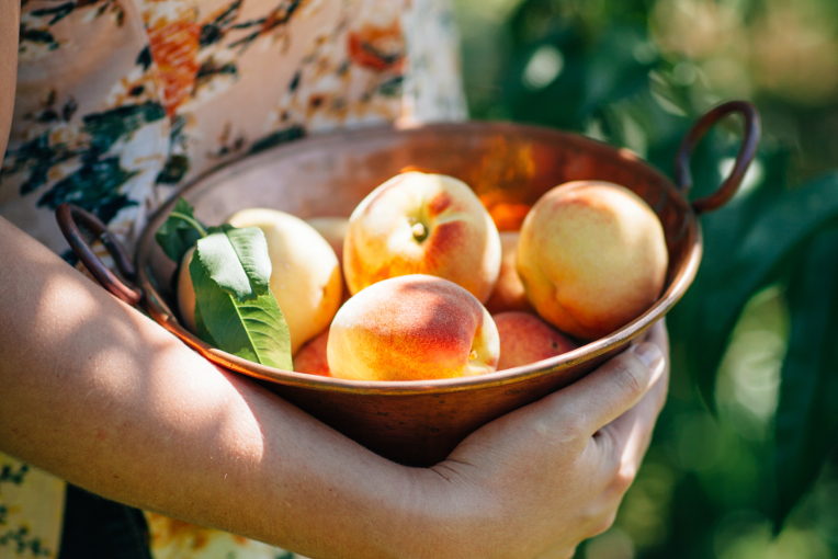 picking peaches