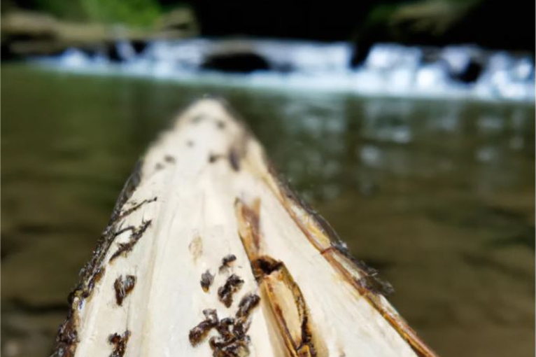 river