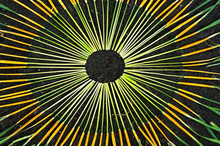 bookcover