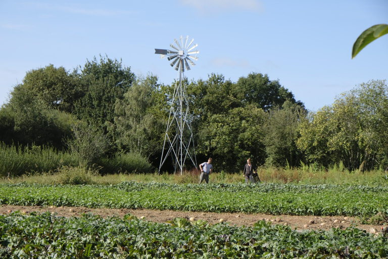 farm land