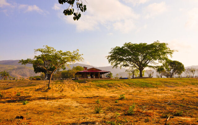 Ejido in Mexico