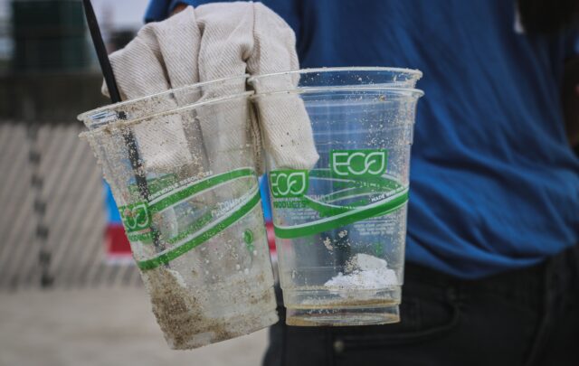 greenwashing
