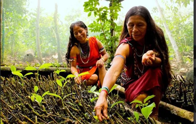 indigenous people