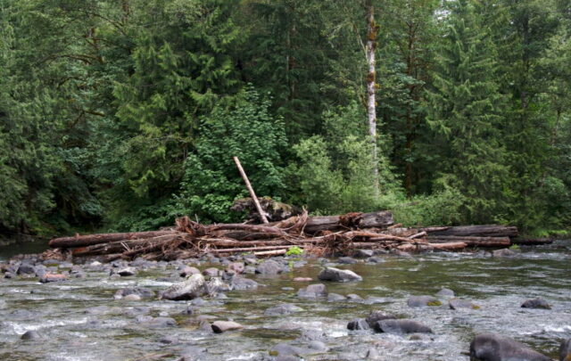 logjam