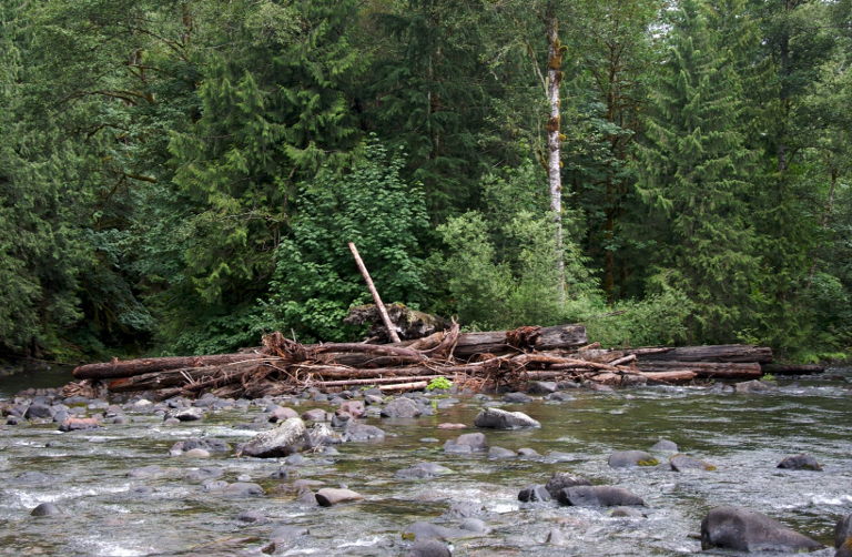 logjam