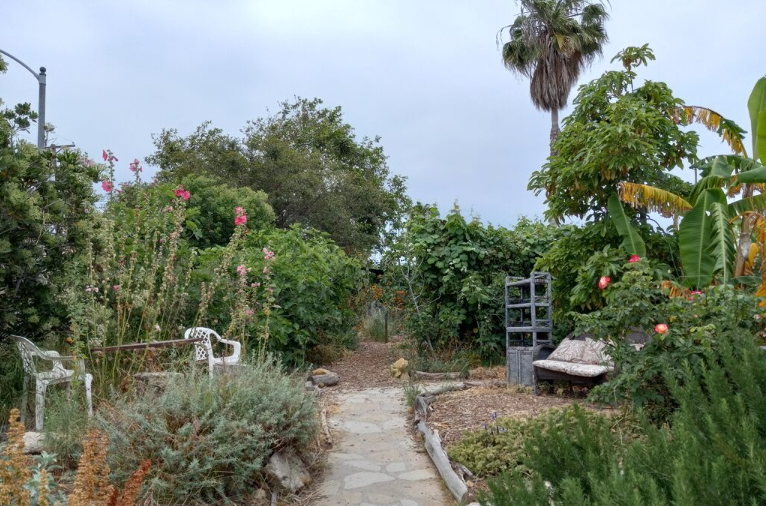 community garden