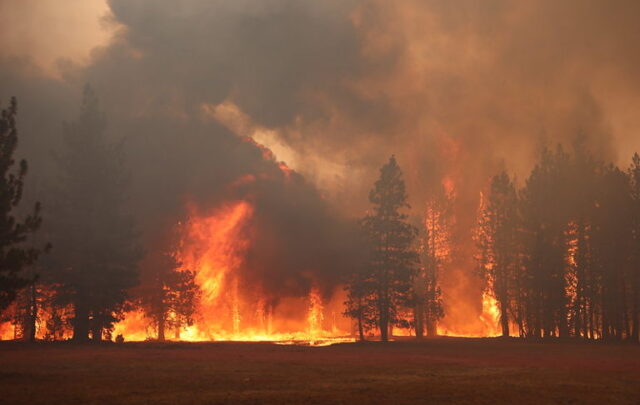 wildfire
