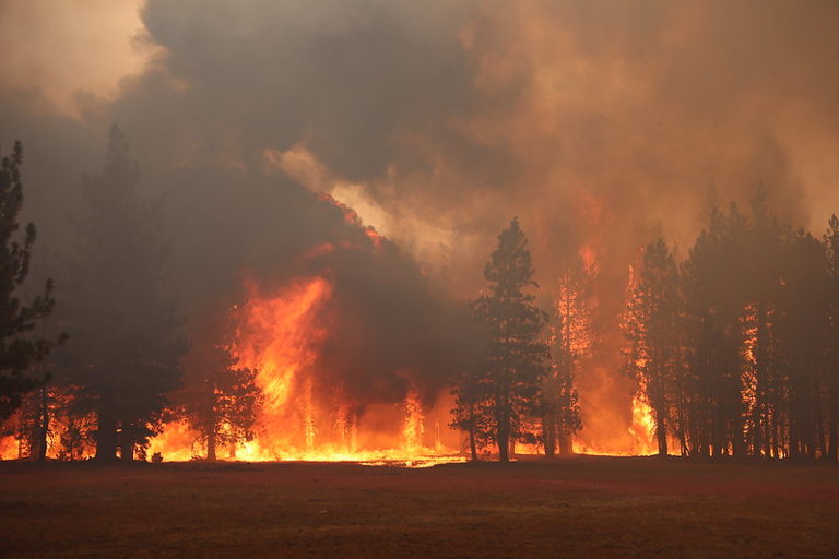 wildfire