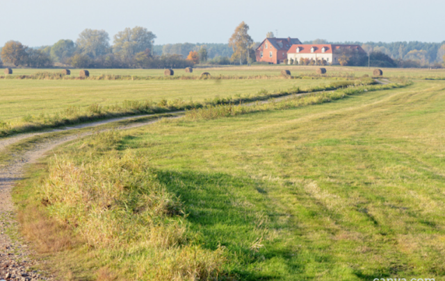 German farm