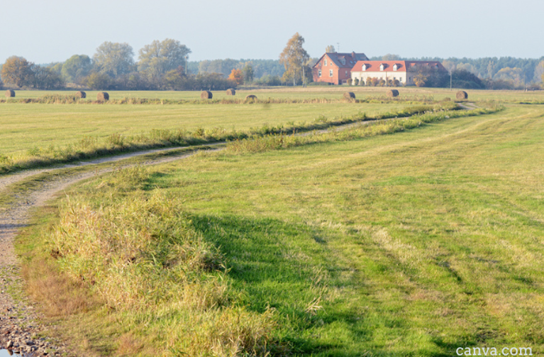 German farm