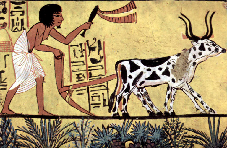 Egyptian plow