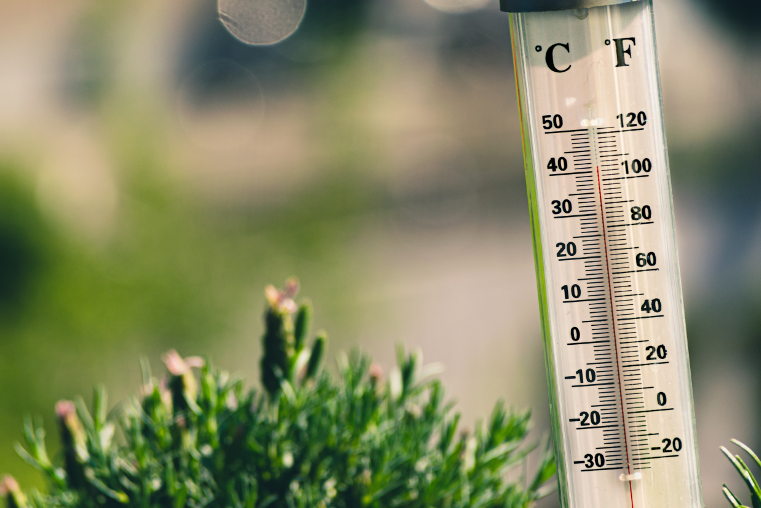 thermometer