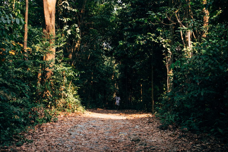 path