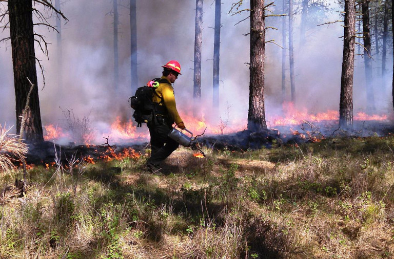 prescribed burn