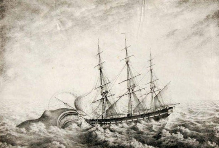 whale attack