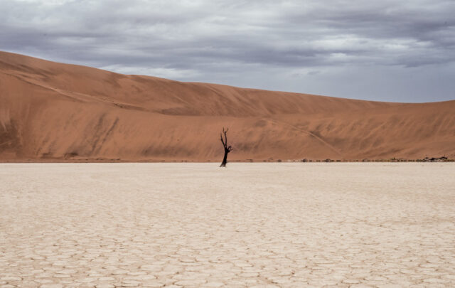 desert