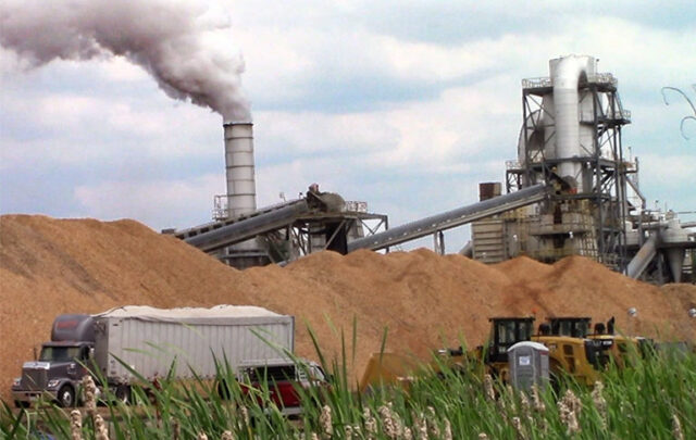 Wood pellet plant