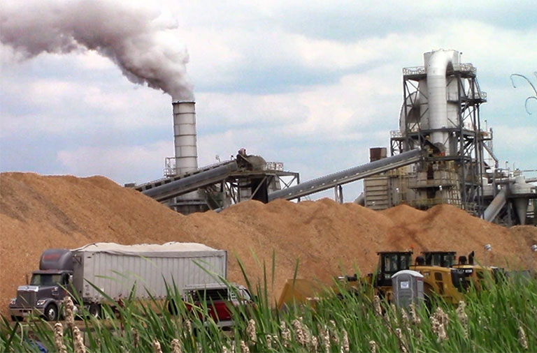 Wood pellet plant